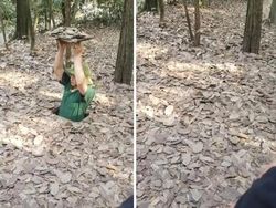 Bikin Kaget, Ruangan Tersembunyi Dalam Rumah yang Tak Terduga