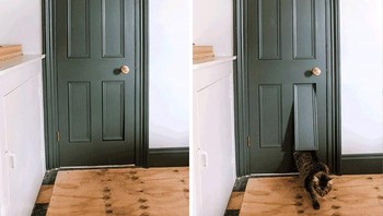Ada pintu kecil untuk masuk kucing. Foto: Bored Panda
