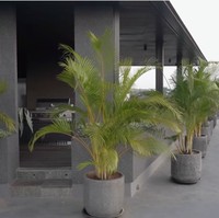 Area teratas disulap menjadi rooftop dengan tempat duduk yang nyaman untuk nongkrong. (Foto: YouTube/Melaney Ricardo)