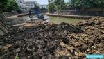 Pengerukan Sedimentasi Ciliwung Terus Dikebut