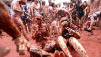 Festival yang diadakan pada hari Rabu terakhir bulan Agustus ini terinspirasi oleh pertarungan makanan antar anak-anak setempat pada tahun 1945 di kota yang terletak di kawasan penghasil tomat. Peserta menggunakan kacamata renang untuk melindungi mata dan biasanya mengenakan kaos oblong dan celana pendek.
