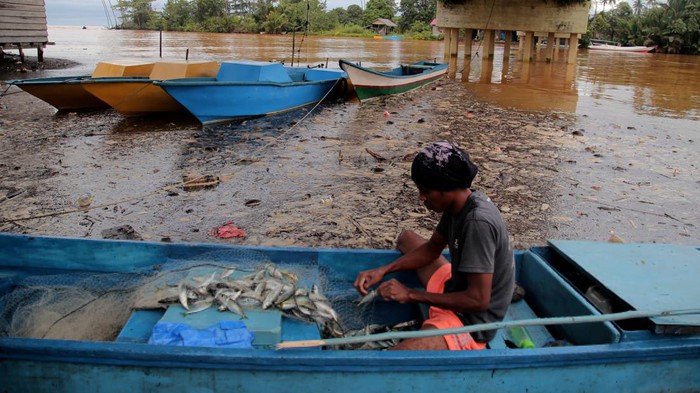 Sungai Sagea tercemar aktivitas tambang Nelayan melintas di Sungai Sagea yang tercemar di Desa Sagea, Kecamatan Weda Utara, Kabupaten Halmahera Tengah, Maluku Utara, Kamis (31/8/2023). Sungai Sagea yang berubah warna menjadi keruh tersebut diduga akibat tercemar material tanah dari aktivitas pertambangan sehingga warga tidak bisa lagi memanfaatkan air sungai untuk kebutuhan sehari-hari dan hasil tangkapan nelayan juga berkurang di daerah itu. ANTARA FOTO/Andri Saputra/aww.