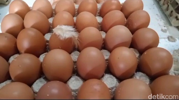 telur di surabaya