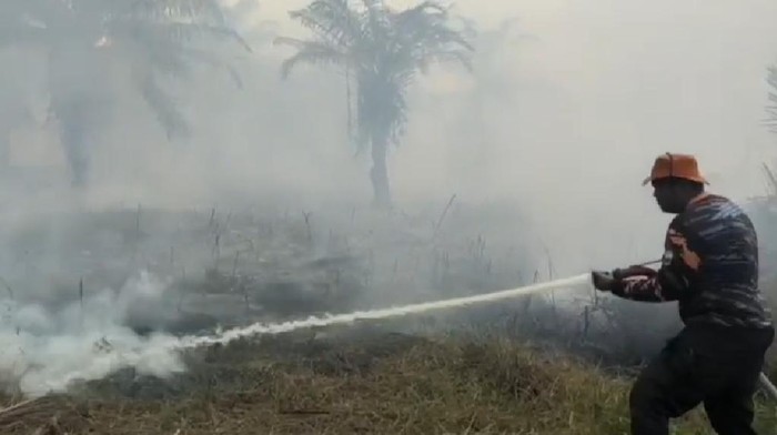 Tim Satgas Karhutla saat memadamkan kebakaran lahan di Muaro Jambi
