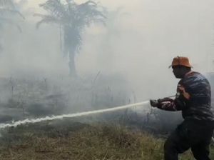 Karhutla di Jambi Kini Capai 1.157 Hektar, Didominasi Lahan Mineral