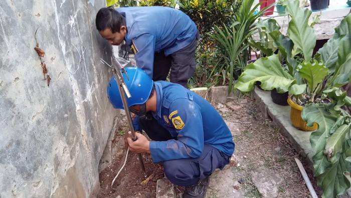 11 Anak Kobra Muncul Dekat Rumahnya, Warga Bogor Panggil Damkar