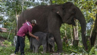 Konflik Memanas di Tesso Nilo, Pakar Desak Pemerintah Gerak Cepat Cari Solusi