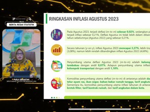 Ini Penyebab RI Deflasi 0,02% di Agustus 2023