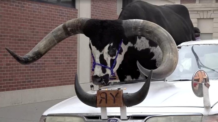 A view shows a bull riding in the passenger seat of a vehicle on a highway, in Norfolk, Nebraska, U.S., August 30, 2023, in this screen grab taken from a video.  News Channel Nebraska/Handout via REUTERS ATTENTION EDITORS - THIS IMAGE WAS PROVIDED BY A THIRD PARTY.MANDATORY CREDIT.
