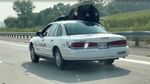 Di Luar Nalar, Banteng Raksasa Numpang di Mobil Sedan