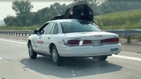 Masalahnya mobil yang dia gunakan bukan truk atau pikap tapi sebuah sedan pintu empat. Saking penginnya membawa banteng Watusi itu dengan mobil sedan, Lee Meyers harus melepas atap mobil sedan miliknya sebagian.   