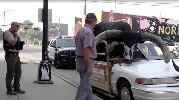 Di Luar Nalar, Banteng Raksasa 'Numpang' di Mobil Sedan A view shows a bull riding in the passenger seat of a vehicle on a highway, in Norfolk, Nebraska, U.S., August 30, 2023, in this screen grab taken from a video. News Channel Nebraska/Handout via REUTERS ATTENTION EDITORS - THIS IMAGE WAS PROVIDED BY A THIRD PARTY.MANDATORY CREDIT.