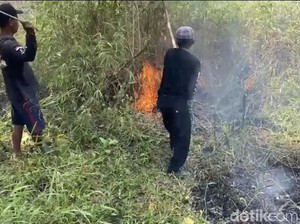 Jabar Hari Ini: Api Berkobar di Gunung Walat dan Kios Depan Unpas