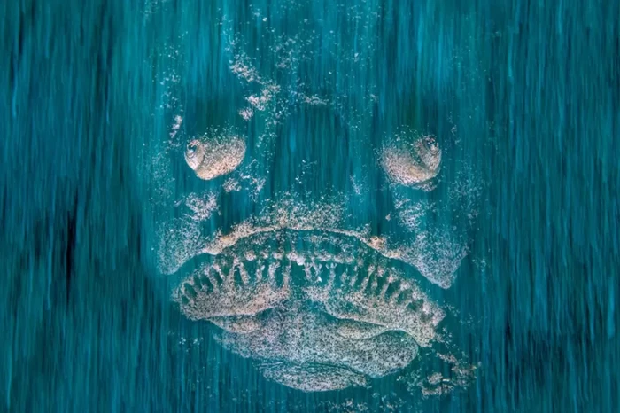 Ikan Stargazer