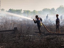 Dituding Lamban Atasi Karhutla, BPBD Palangka Raya Sebut Siaga Sejak 1 Juli