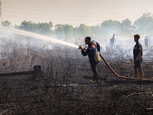 Dituding Lamban Atasi Karhutla, BPBD Palangka Raya Sebut Siaga Sejak 1 Juli