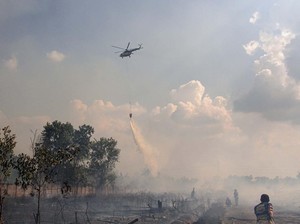 Kemarau Diprediksi Mulai April, BMKG Imbau Pemda Waspada Kekeringan-Karhutla