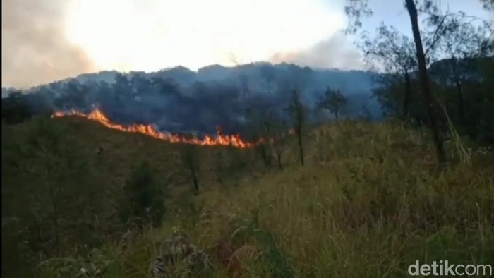 Karhutla Gunung Arjuno di Pasuruan makin meluas