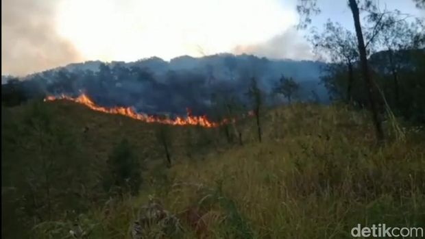 Karhutla Gunung Arjuno di Pasuruan makin meluas