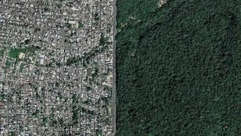 Bukan hasil Photoshop. Ini Manaos Bresil Foto: Boredpanda