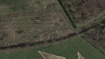 Penampkan naga. Foto: Boredpanda