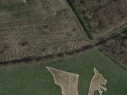 Keunikan dan Keanehan yang Muncul di Google Earth