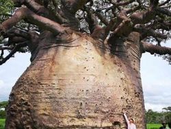 Keunikan dan Keanehan yang Muncul di Google Earth