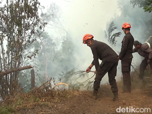 Sulitnya Padamkan Kebakaran di Taman Nasional Bromo Tengger Semeru