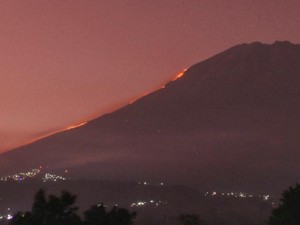 Hutan di Gunung Sumbing Terbakar!