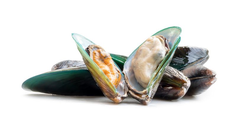 Kerang rebus