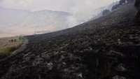 Balai Besar Taman Nasional Bromo Tengger Semeru (BB TNBTS) mengerahkan tim gabungan dibantu masyarakat untuk memadamkan kebakaran yang terjadi sejak Selasa (29/8). (ANTARA FOTO/Irfan Sumanjaya)  