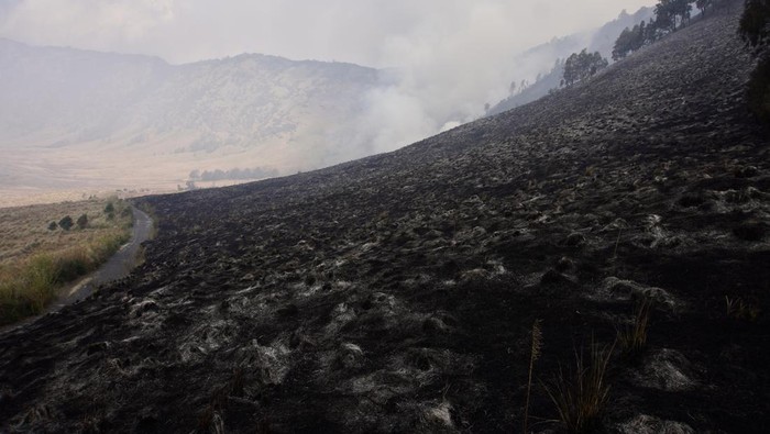Penampakan Kebakaran yang Landa Savana Gunung Bromo Kondisi padang savana yang terbakar di Kawasan Taman Nasional Bromo Tengger Semeru (TNBTS), Malang, Jawa Timur, Rabu (30/8/2023). Balai Besar Taman Nasional Bromo Tengger Semeru (BB TNBTS) mengerahkan tim gabungan dibantu masyarakat untuk memadamkan kebakaran yang terjadi sejak Selasa (29/8) dan hingga saat ini penyebab kebakaran masih dalam proses penyelidikan. ANTARA FOTO/Irfan Sumanjaya/foc.
