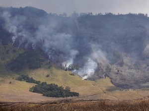 Mau ke Bromo, Cek 3 Rute dan Jalur yang Boleh Dilewati Usai Hutan Terbakar
