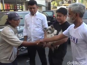 Dalih Pengemudi Bentor Makassar Tak Sengaja Seret Anjing di Jalan Raya