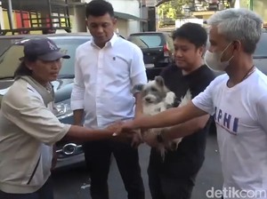 Dalih Pengemudi Bentor Makassar Tak Sengaja Seret Anjing di Jalan Raya