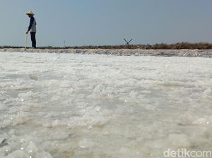 Kala Petani Garam Indramayu Menaruh Harap di Kemarau Panjang