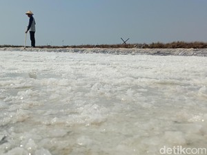 Kala Petani Garam Indramayu Menaruh Harap di Kemarau Panjang