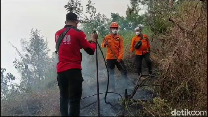 Petugas berupaya memadamkan api di kawasan TNBTS Lumajang