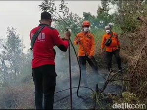 Kebakaran Hutan di TNBTS Meluas, Wisata B-29 Lumajang Ditutup