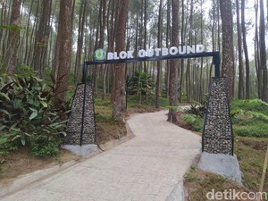 Ada yang Baru di Magelang Lur! Jajal Kemping di Pinea Forest Mangli Yuk