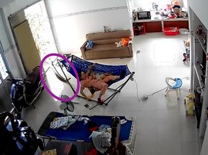 Ular Piton Raksasa Nyaris Telan Ibu dan Anak di Vietnam