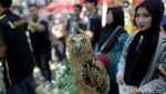 Ajak Anak Mengenal Beragam Hewan di West Java Festival 2023