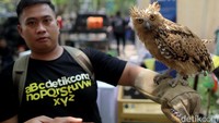 Menariknya lagi, West Java Festival 2023 akan menampilkan karnaval bertema Kebudayaan untuk Merawat Bumi, Insect of West Java (Serangga dalam Kekuatan Budaya Lokal di Jawa Barat) yang berlangsung pagi hari mulai pukul 07.00-10.00 WIB. 