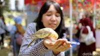 Tak sampai di situ, West Java Festival 2023 juga menyuguhkan hiburan dan acara menarik lainnya, mulai dari pameran Harkonas, Zumba, Career Talk, K-Pop Dance, Cosplay Competition, Mobile Public Service, hingga Food Truck. Masyarakat juga bisa menikmati puluhan kuliner jajanan yang menggugah selera.