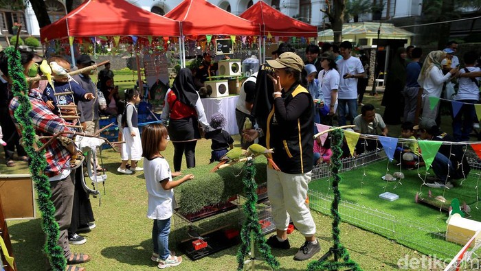 Ajak Anak Mengenal Beragam Hewan di West Java Festival West Java Festival 2023 digelar dalam rangka menyambut Hari Ulang Tahun (HUT) ke-78 Provinsi Jawa Barat. Beragam kegiatan disajikan sebagai pesta rakyat dan bazar menarik untuk warga Bandung dan sekitarnya.