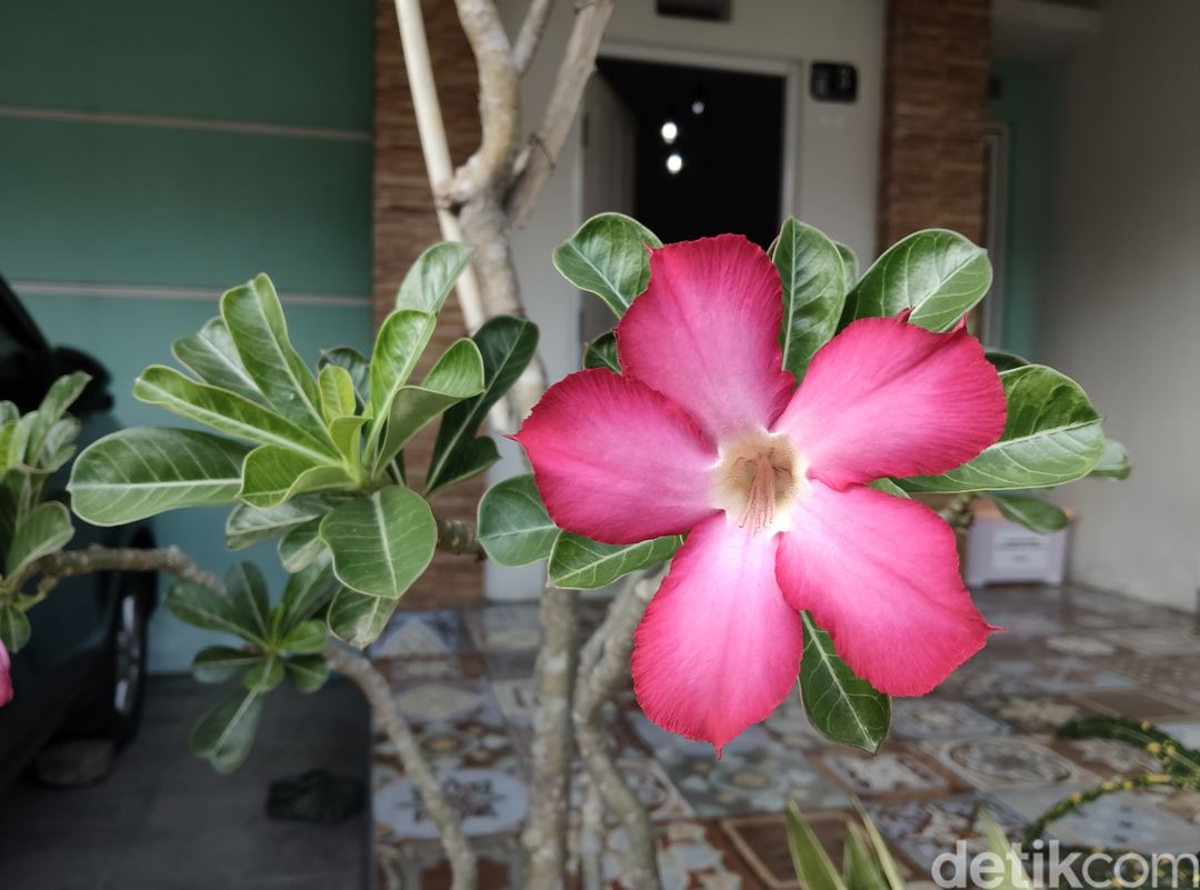 Contoh foto kamera Xiaomi Pad 6