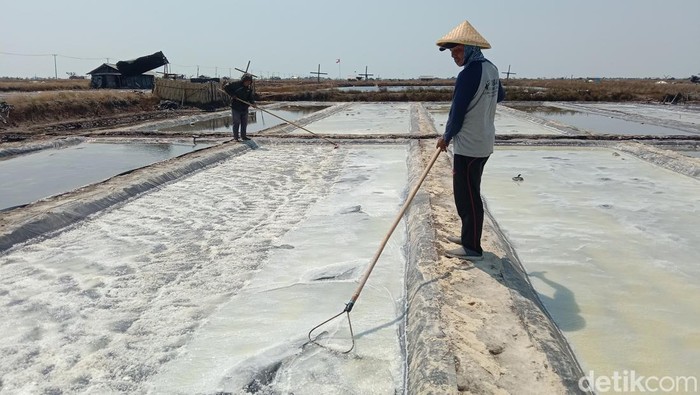 Foto Produksi Garam di Kabupaten Indramayu