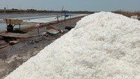 Potret garam dengan corak warna berbeda yang menunjukkan kualitas dari garam tersebut. Untuk kualitas rendah memiliki warna lebih gelap kecoklatan sementara kualitas satu (K1) biasanya lebih putih mengkilap.