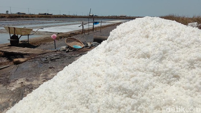 Foto Produksi Garam di Kabupaten Indramayu Foto Produksi Garam di Kabupaten Indramayu