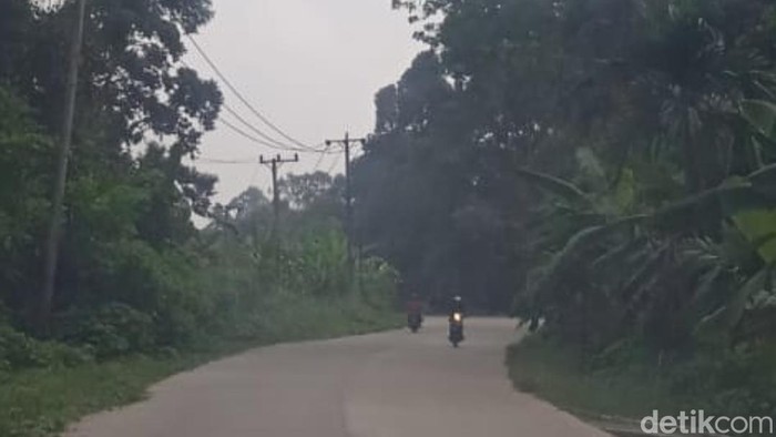 Kecamatan Kumpe Ulu, kabut asap mulai sedikit bermunculan sejak kawasan disana sebagian alami kebakaran lahan.